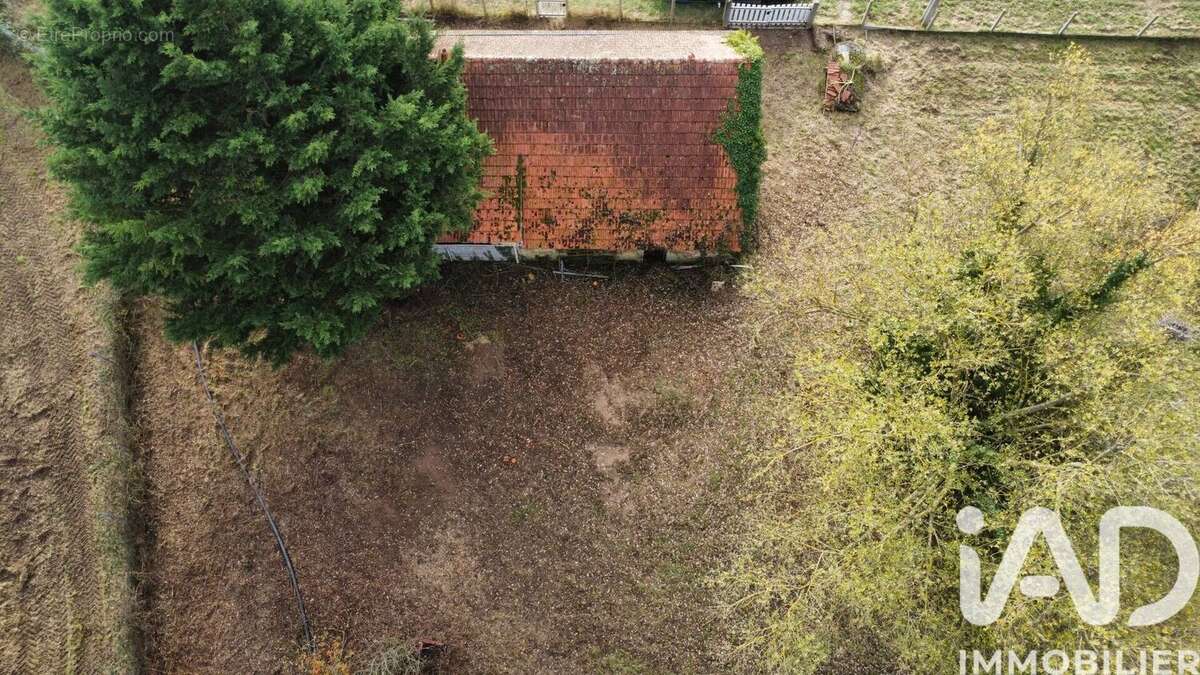 Photo 9 - Maison à VILLENEUVE-SUR-ALLIER