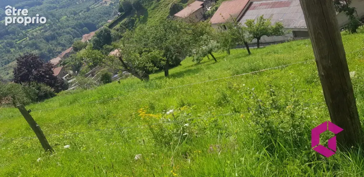 Terrain à SAINT-SAUVEUR-EN-RUE