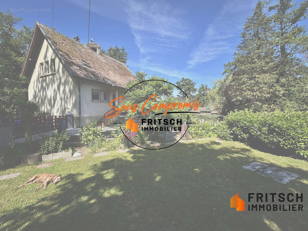 Maison à SENTHEIM