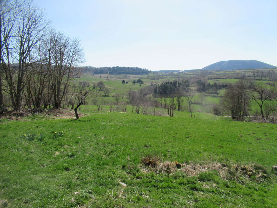 Maison à LE MONASTIER-SUR-GAZEILLE