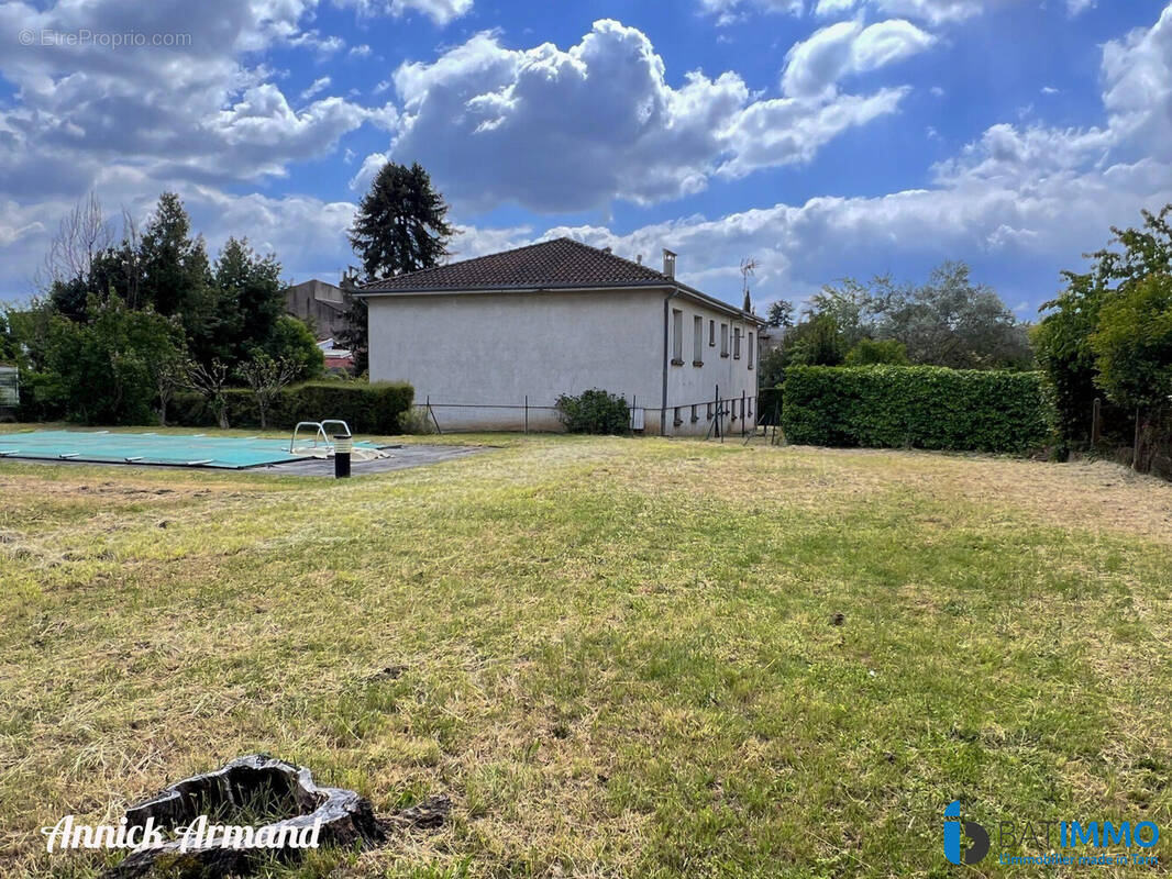 Terrain Nord / Piscine - Maison à ALBI