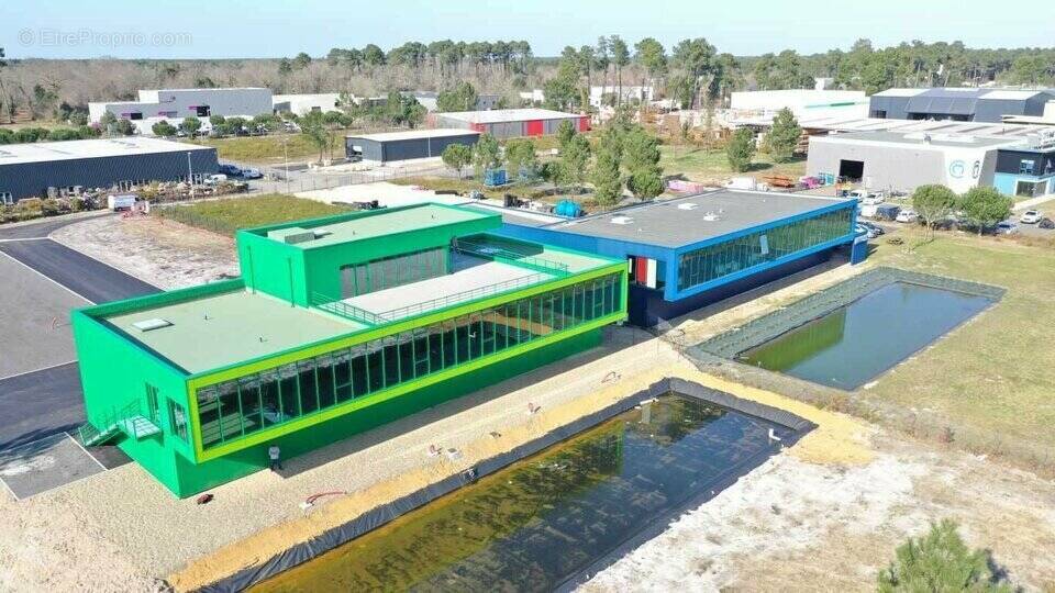 Commerce à BORDEAUX