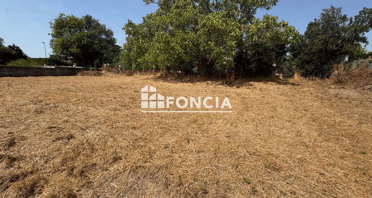 Exclusivite - thaire -terrain - photo 3
