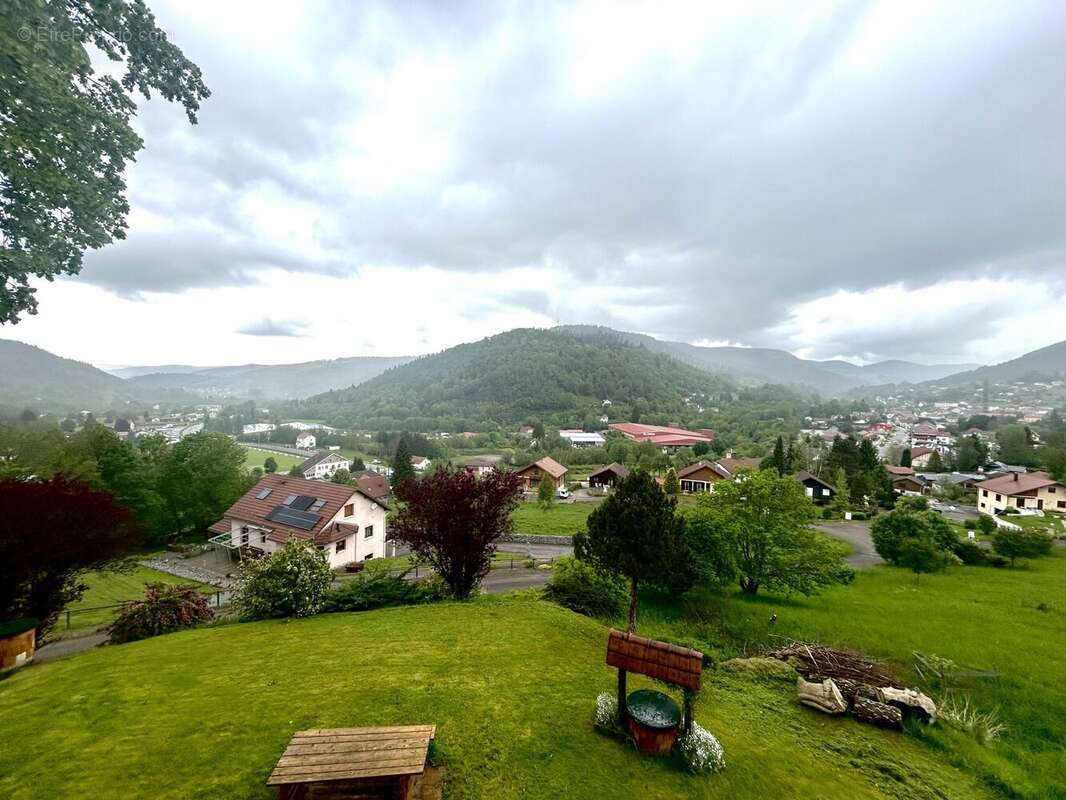 Appartement 230 m² à Saint-Maurice-Sur-Moselle  - photo 8