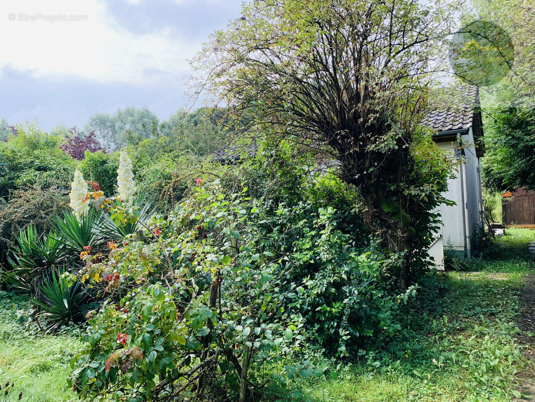 Maison à BRANNAY