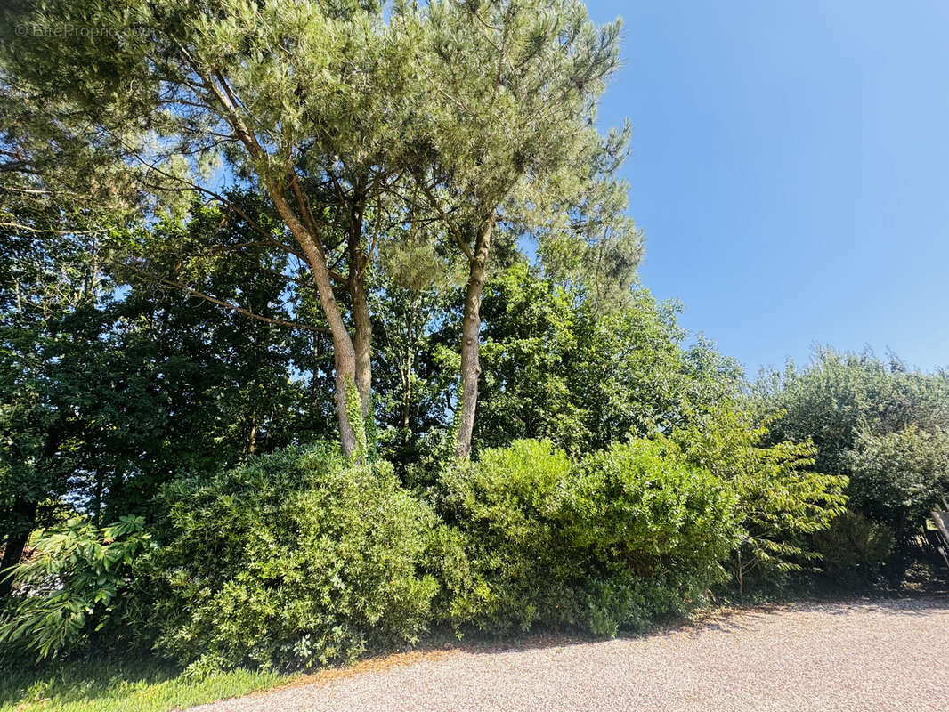 Maison à LES SABLES-D&#039;OLONNE