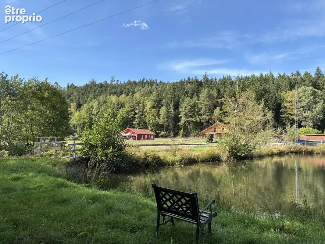 Etangs, Chalets : Domaine de 3 ha avec 3 étangs vidangeables - photo 5