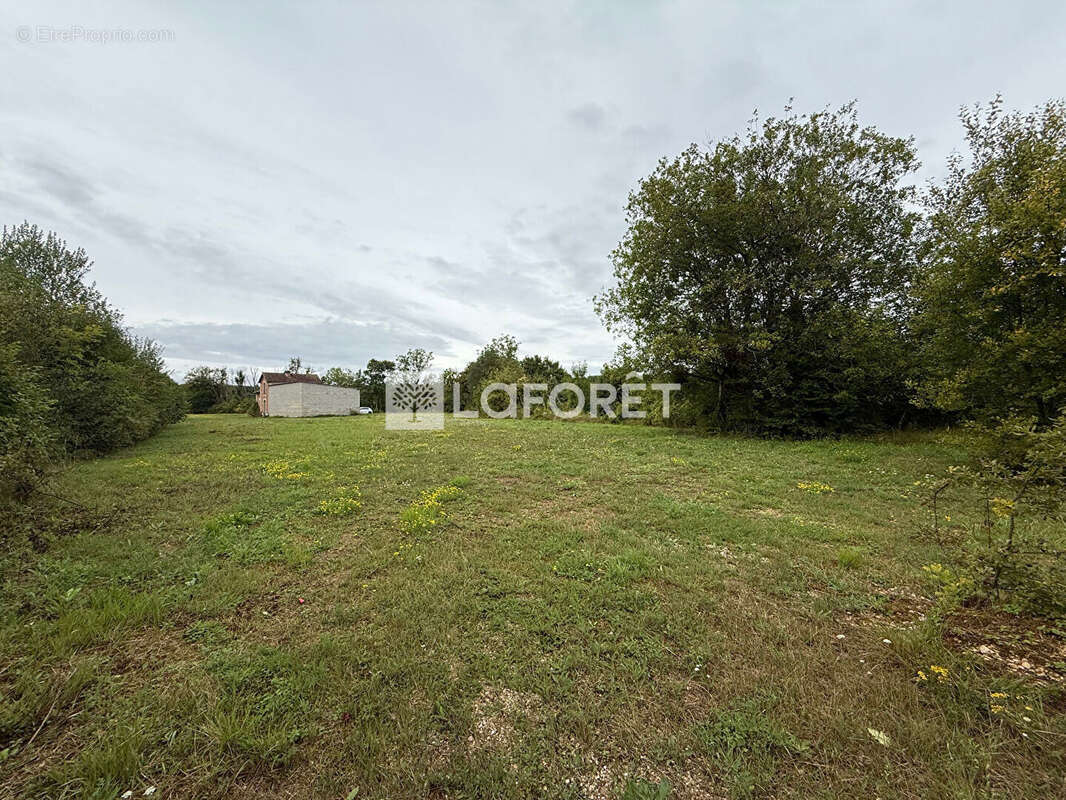 Terrain à DOULAINCOURT-SAUCOURT