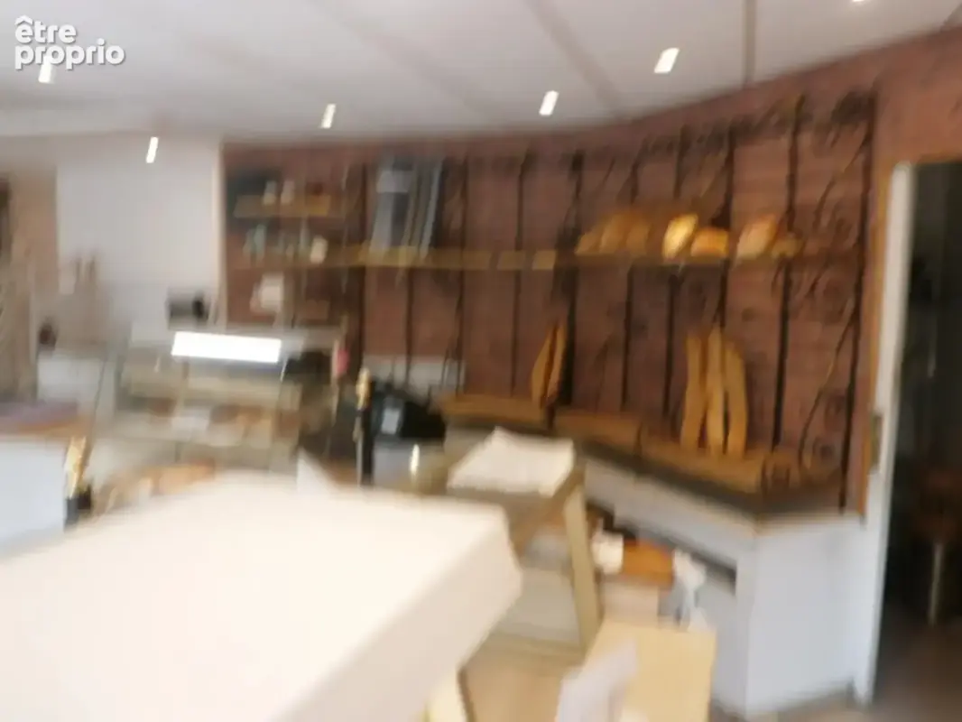 Dab et materiels de boulangerie-patisserie-restauration rapi - photo 6