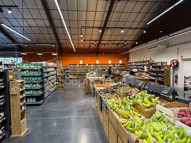 Commerce à MONTELIMAR
