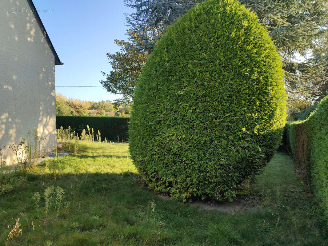 Maison à LANVALLAY