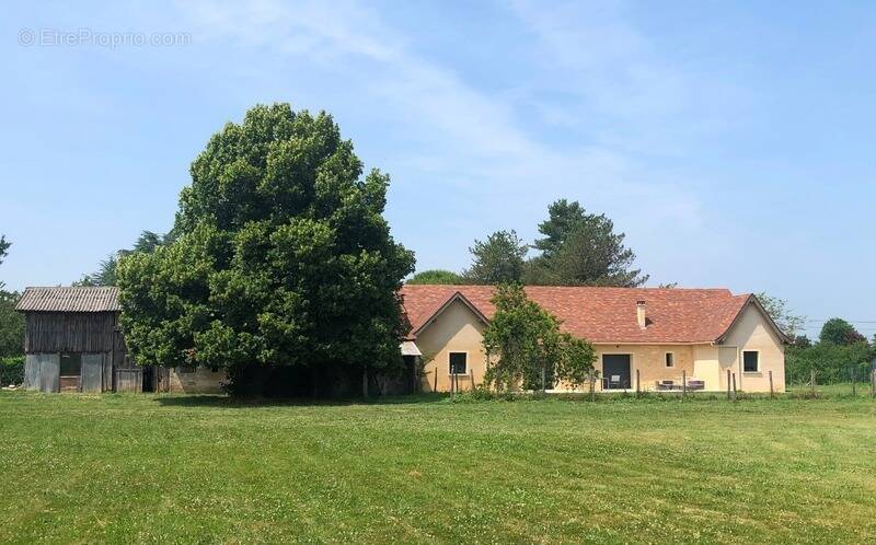 Maison à SAINT-MEDARD-DE-MUSSIDAN