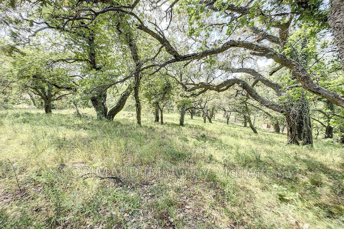 Terrain à GRIMAUD