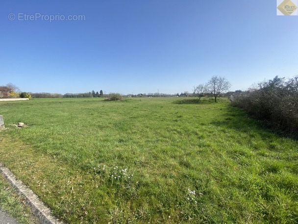 Terrain à VICQ-SUR-GARTEMPE