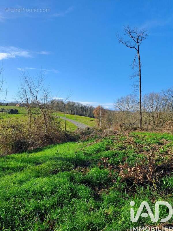 Photo 2 - Terrain à SARRAGUZAN