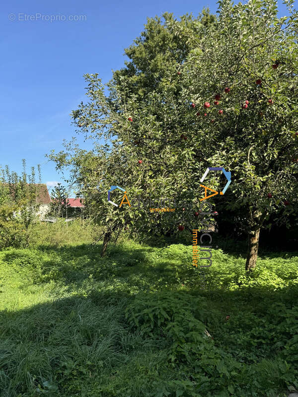 Maison à VIELS-MAISONS