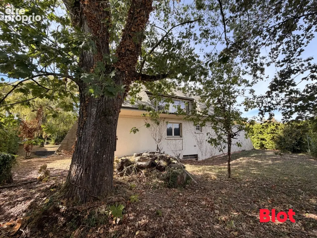 Maison 9 pièces 245 m² à vendre à Le Rheu (35650) - photo 4