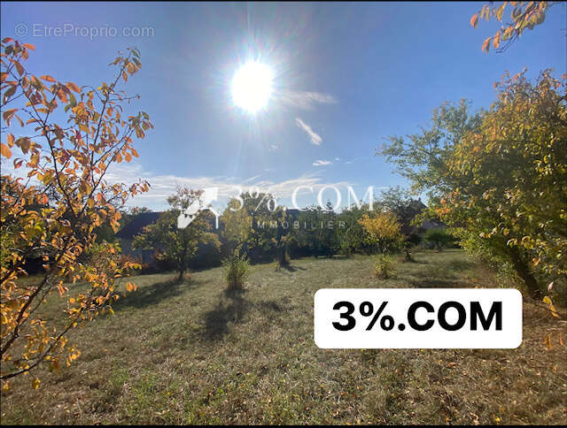 Terrain à DETTWILLER