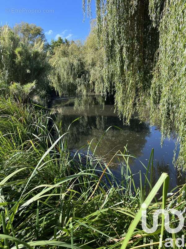 Photo 2 - Maison à MEURSAC