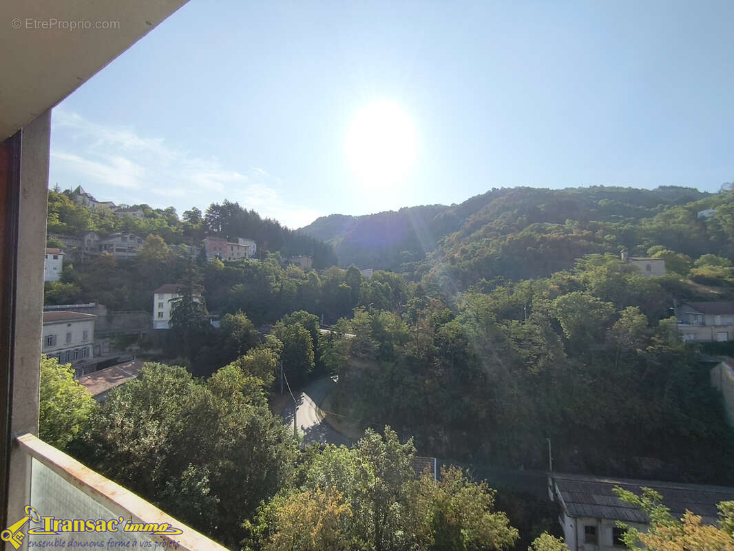 Haut de Thiers, appartement type F3 de 52m2 au RDC avec balcon et une cave. - photo 8