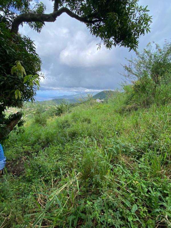 Terrain à LE MORNE-VERT