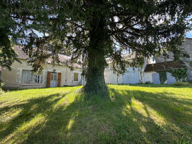Montreuillon, Morvan - photo 22