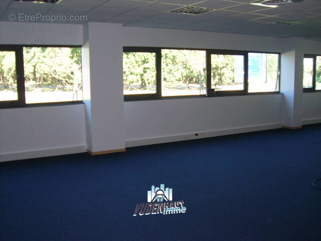 Commerce à COLOMIERS