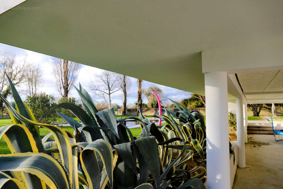 Maison à SAUJON