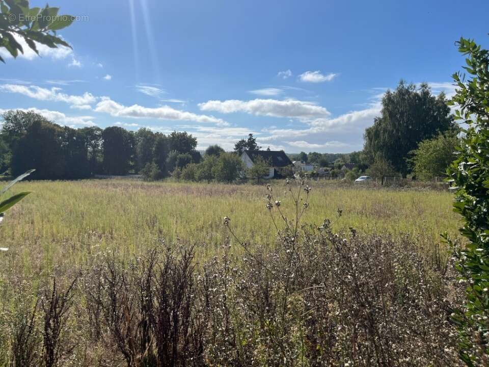 Terrain à EPAGNE-EPAGNETTE