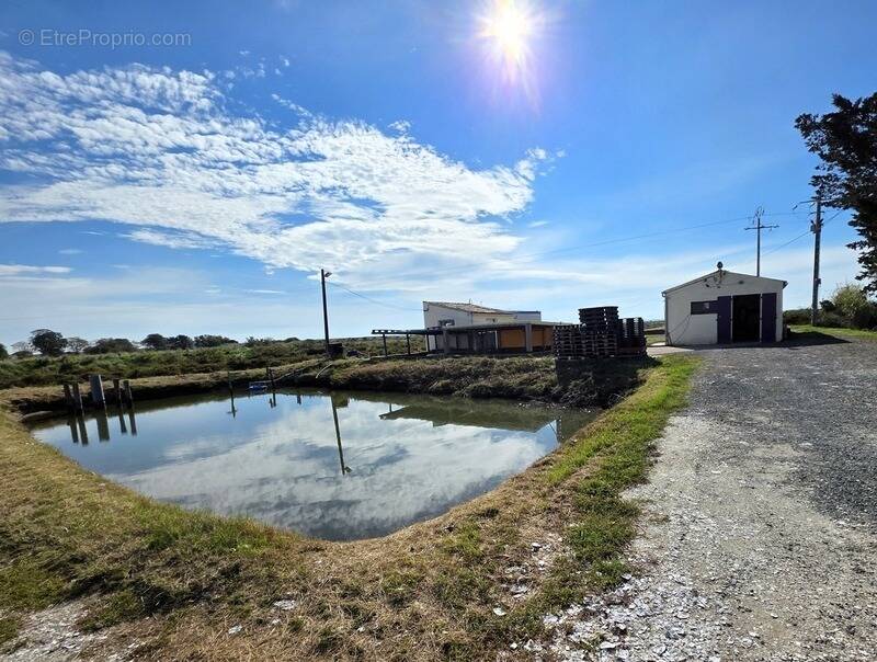 Commerce à DOLUS-D'OLERON