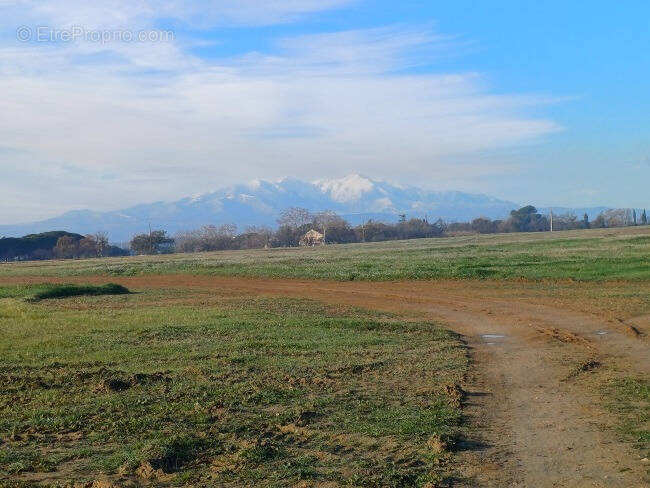 Terrain à VILLENEUVE-DE-LA-RAHO