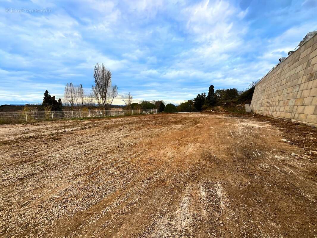 Terrain à SAINT-THIBERY