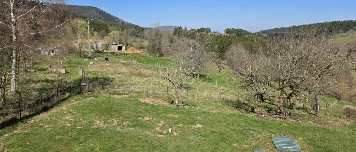 Maison à BOURG-BRUCHE