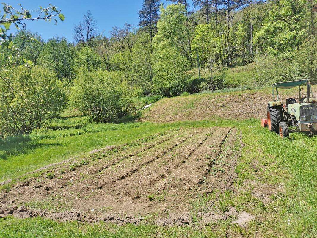 Propriété St Genies 5 pièce(s) 160 m2 - photo 9