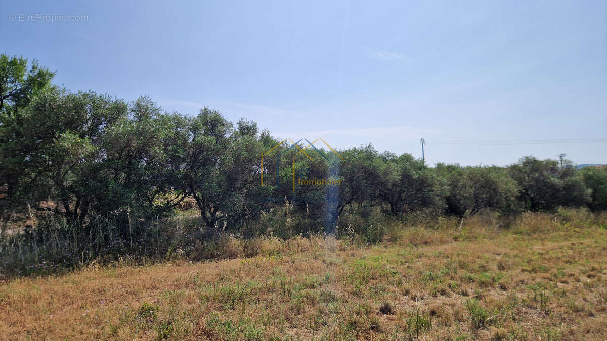 Terrain à SAINT-JEAN-DE-FOS