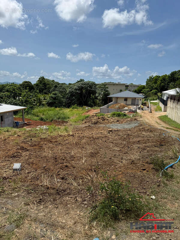 Terrain à LE LAMENTIN