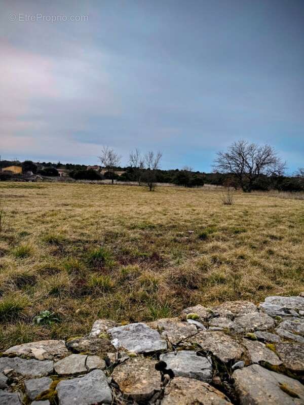 Terrain à SAINT-REMEZE