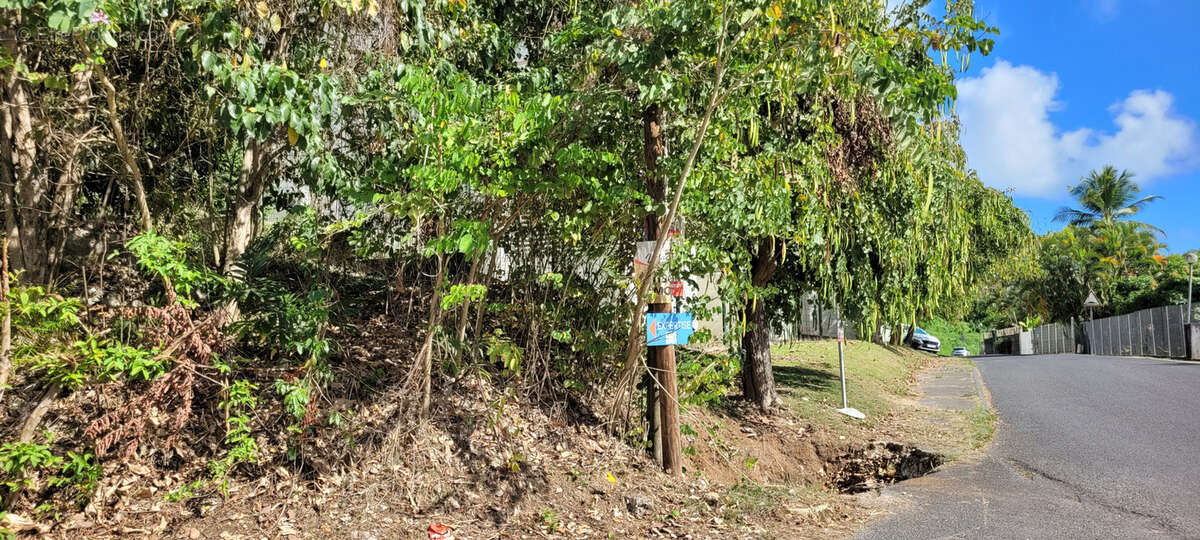 Terrain à LES ABYMES