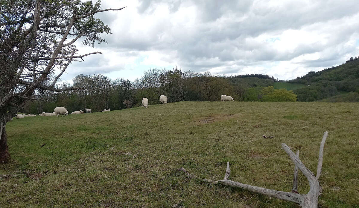 Maison de plain-pied , 103 m² , vue exceptionnelle. Terrain 2 800 m² - photo 8