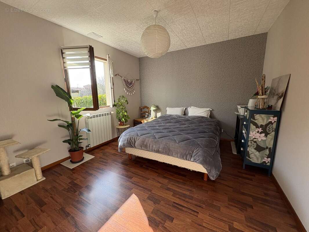 Maison à LA SALVETAT-SAINT-GILLES