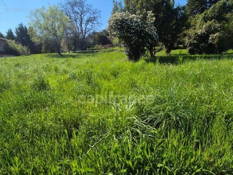 Terrain à vendre de 650,00 m² CASSAGNOLES (30) - photo 3