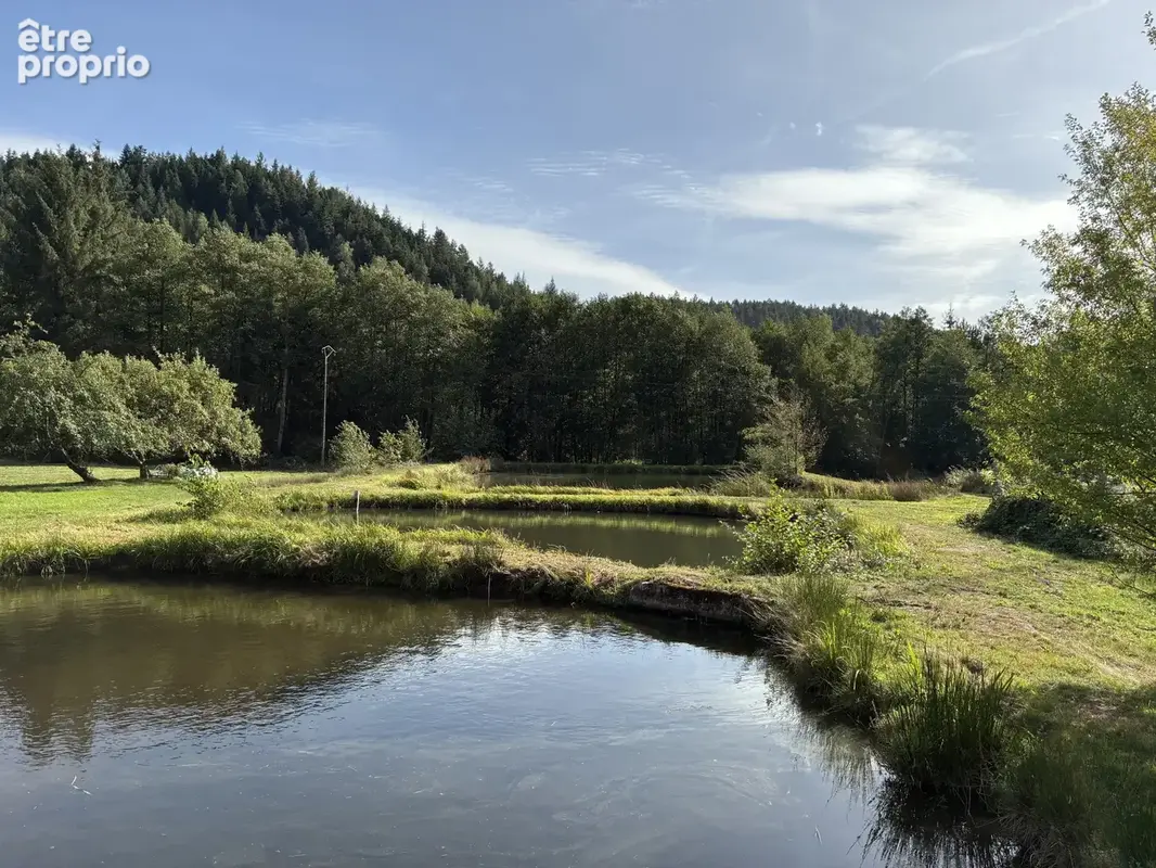 Etangs, Chalets : Domaine de 3 ha avec 3 étangs vidangeables - photo 9
