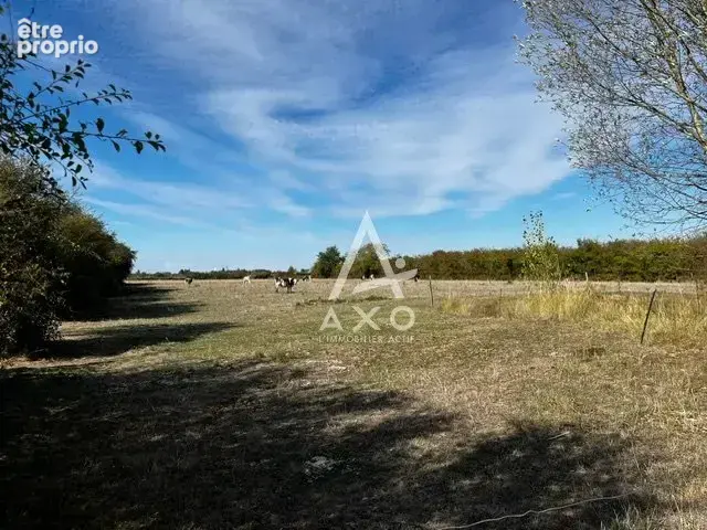 Coup de cur à saint-brisson-sur-loire ! - photo 18