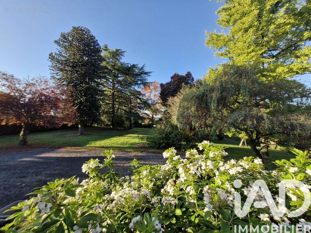 Photo 6 - Maison à SAINT-JUNIEN