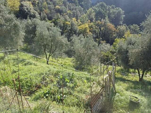 Maison à L&#039;ESCARENE