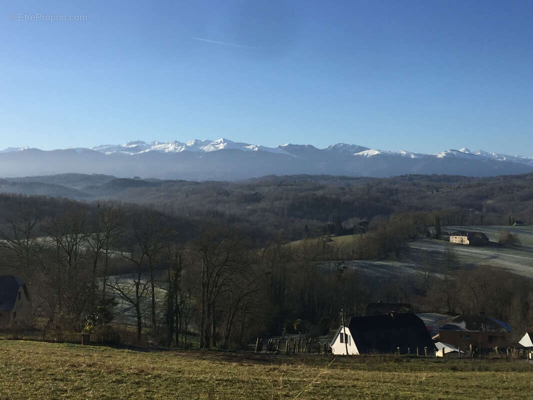Parcelle de terrain à bâtir, sur la commune de LASSEUBE. - photo 3