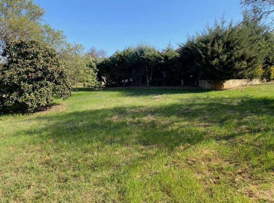 Terrain 2122 m² à Saint-Maximin-La-Sainte-Baume  - photo 6
