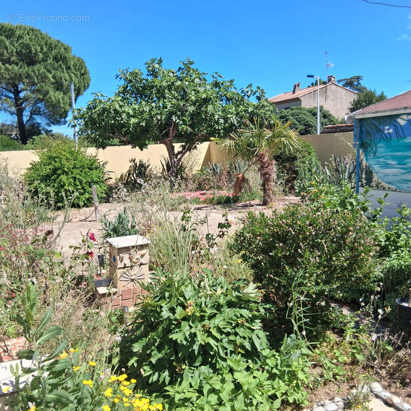 Maison à VIAS