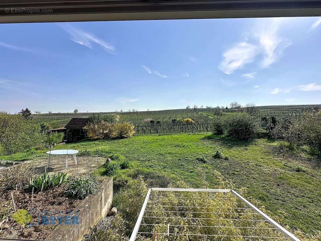 Maison à BEBLENHEIM