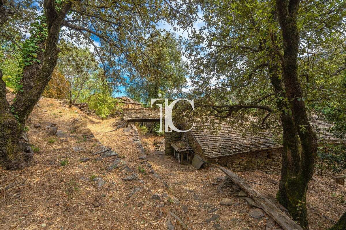 Mas du xviii? à restaurer avec 5 ha de terrain - photo 16